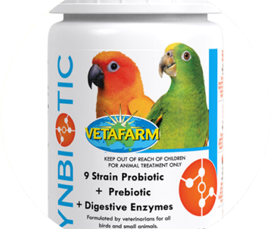 Vitamins & Health