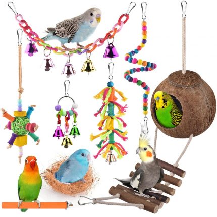 Bird Accessories