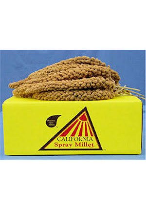 California Spray Milet 5 lbs