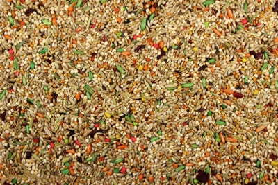 mix-parakeet-cuisine-800px-400x267