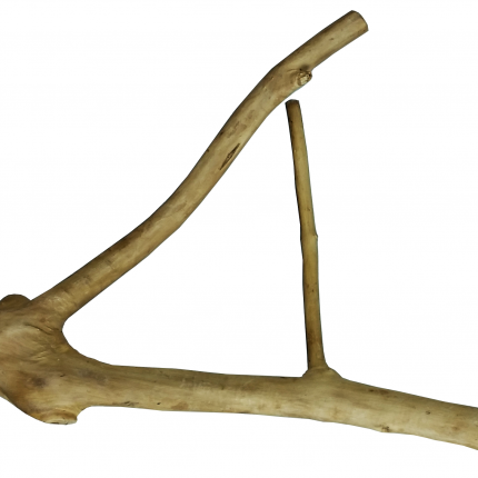 Small Java Wood Multi Branch Perch 16" x 1.2"