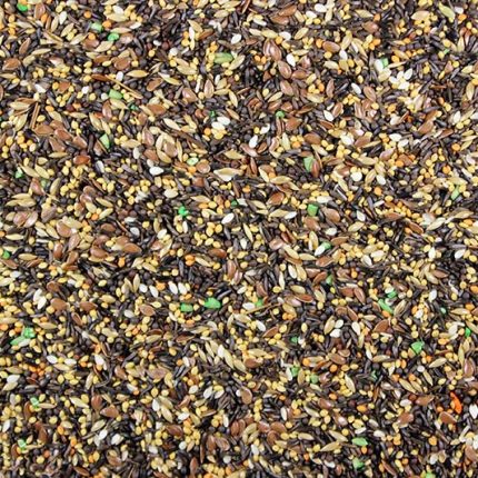 Leach & Grain Canary Song Food Plus 5lb