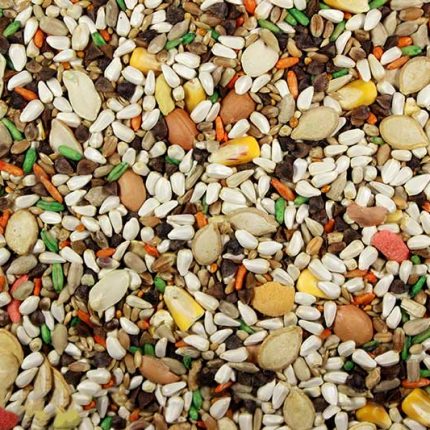 Leach & Grain Large Hookbill Plus 5lb