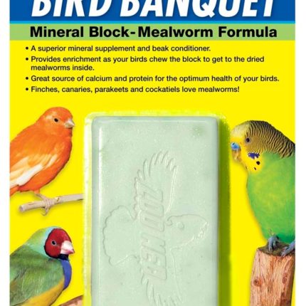 Zoo Med Bird Banquet Mealworm Formula Mineral Block Green, 5 oz, LG