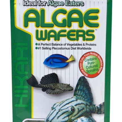 Hikari USA Algae Wafers Rapidly Sinking Wafer Fish Food 8.8 oz